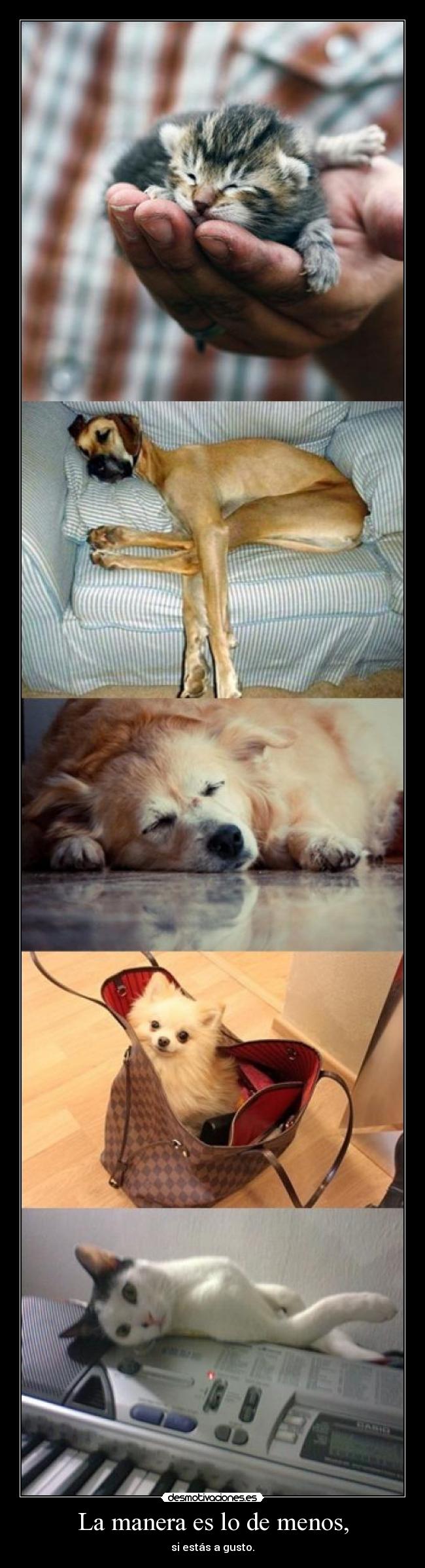 La manera es lo de menos, - si estás a gusto.