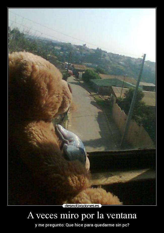 A veces miro por la ventana -