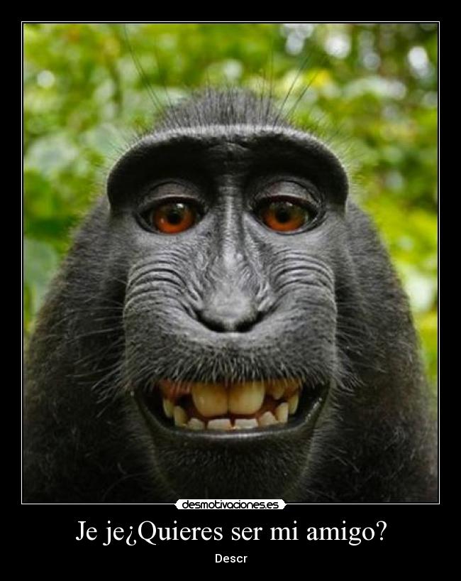 carteles matassesinrap desmotivaciones