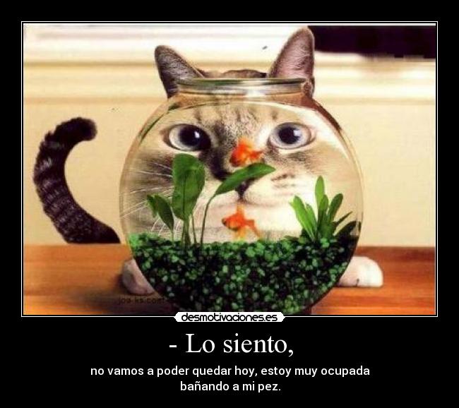 - Lo siento, - no vamos a poder quedar hoy, estoy muy ocupada
bañando a mi pez.