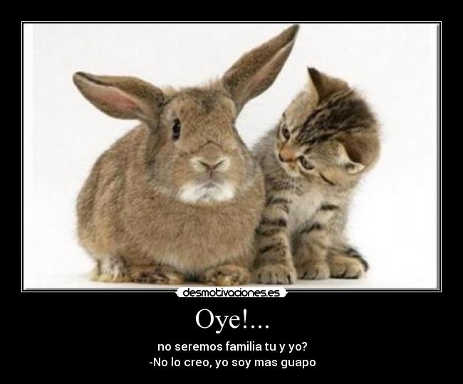 Oye!... -