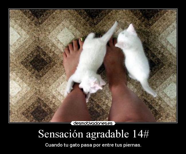 Sensación agradable 14# -