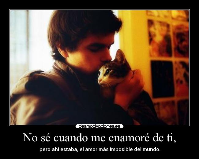 carteles memotivaseryomisma desmotivaciones