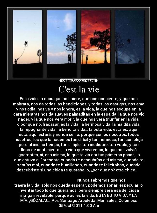 carteles cest vie por santiago arboleda desmotivaciones