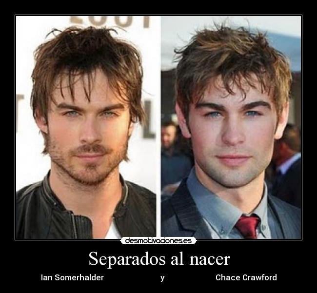 carteles gemelos iansomerhalder chacecrawford tvd mrbrightside desmotivaciones