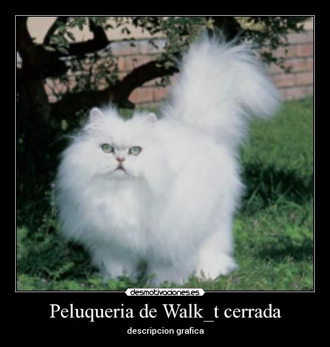 Peluqueria de Walk_t cerrada -