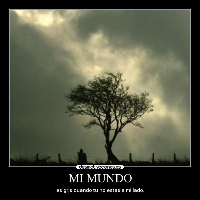 MI MUNDO - 