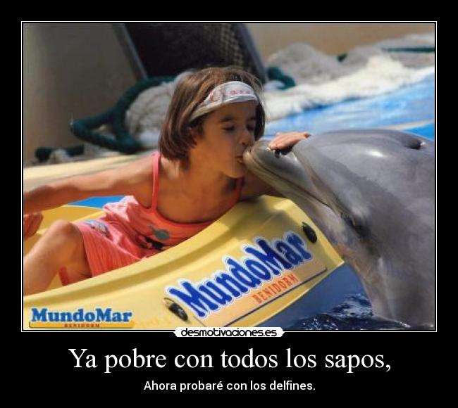 Ya pobre con todos los sapos, - Ahora probaré con los delfines.