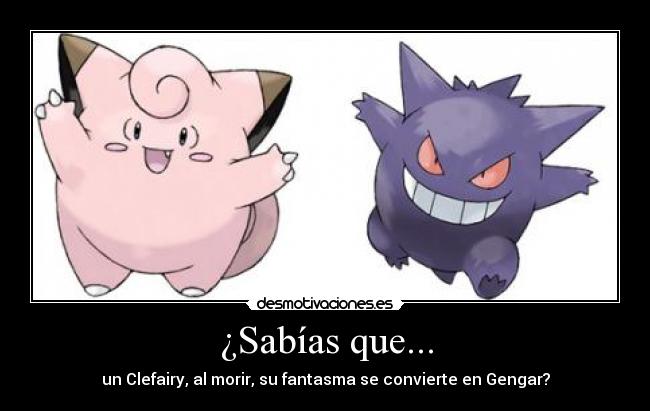 ¿Sabías que... - un Clefairy, al morir, su fantasma se convierte en Gengar?