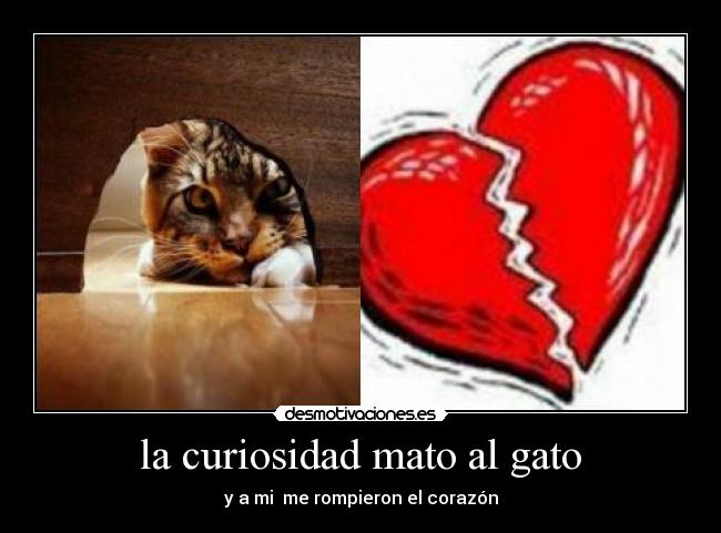 la curiosidad mato al gato - y a mi  me rompieron el corazón