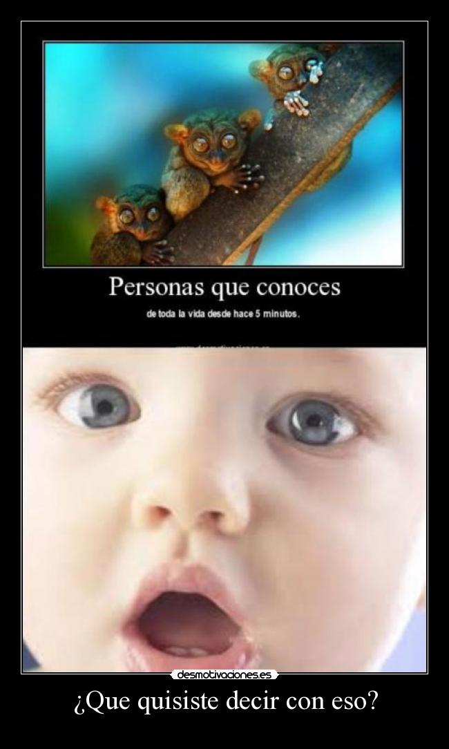 ¿Que quisiste decir con eso? -