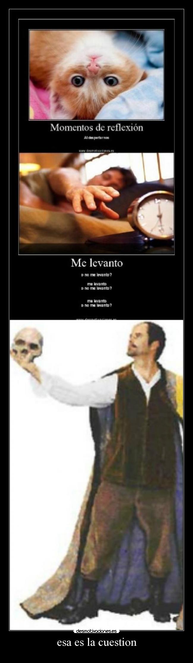 esa es la cuestion - 