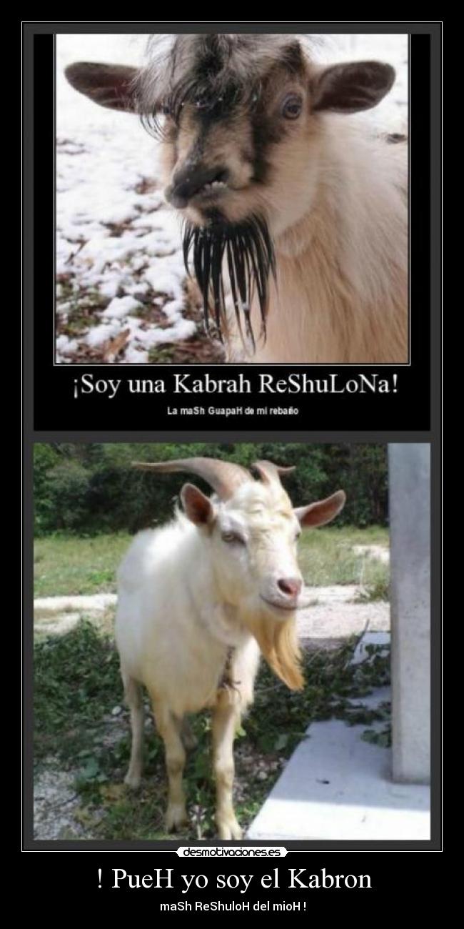 ! PueH yo soy el Kabron - maSh ReShuloH del mioH !