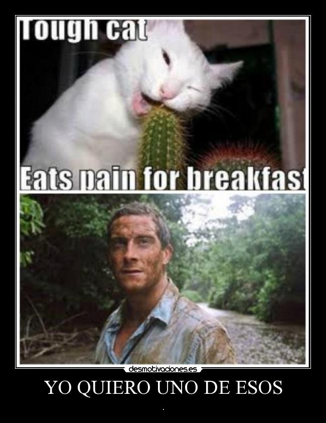 YO QUIERO UNO DE ESOS -