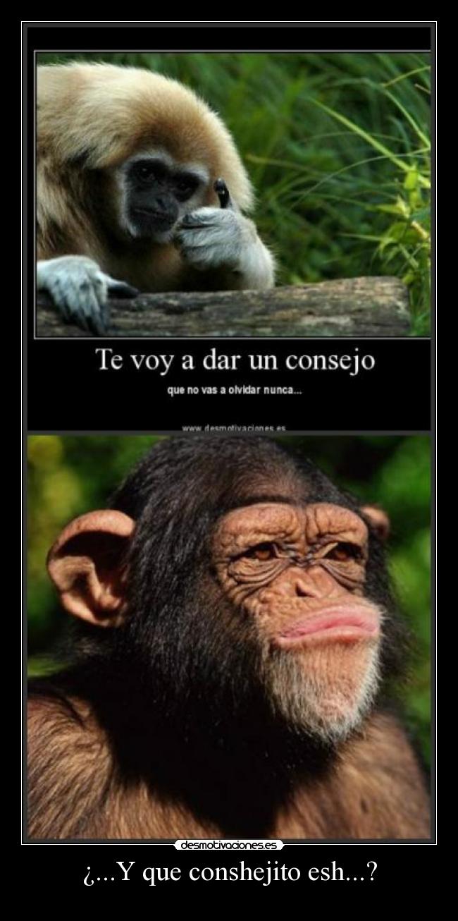 ¿...Y que conshejito esh...? - 