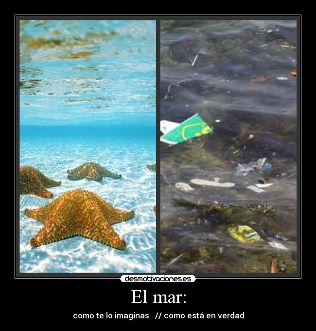 El mar: -