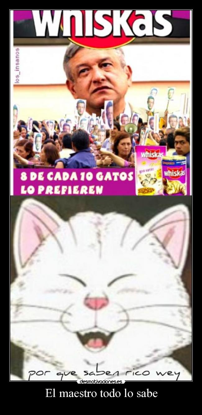 El maestro todo lo sabe -