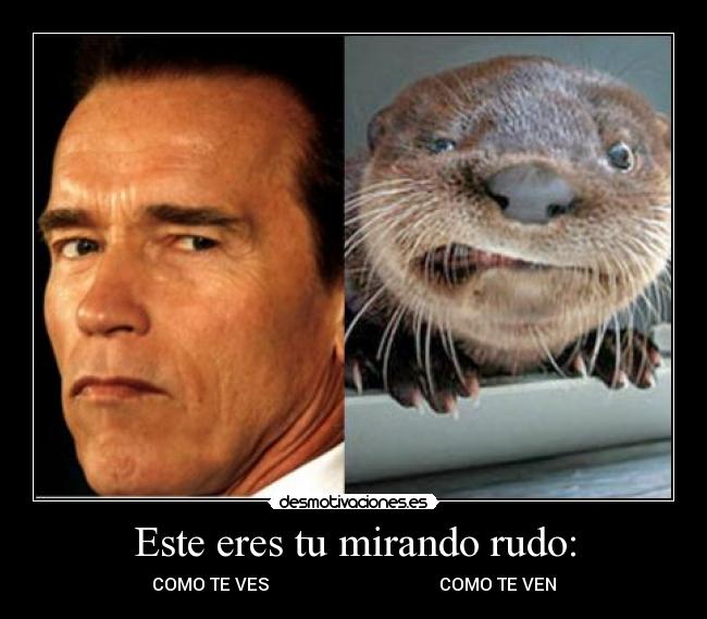 carteles rudos todos carajo desmotivaciones