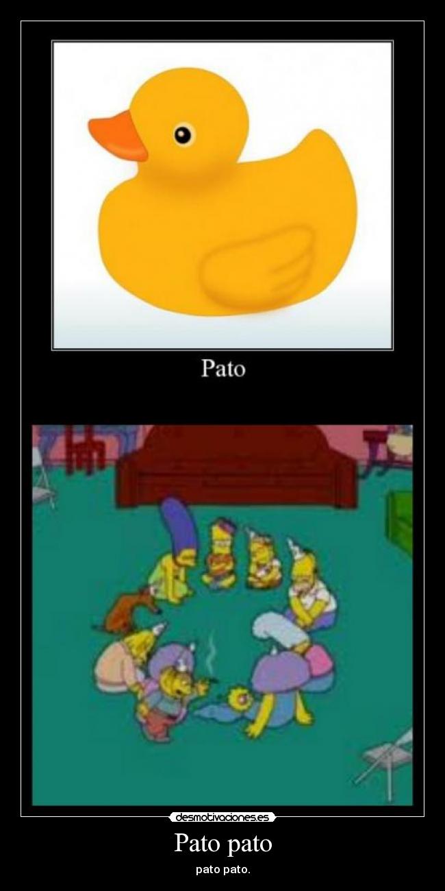 Pato pato - 