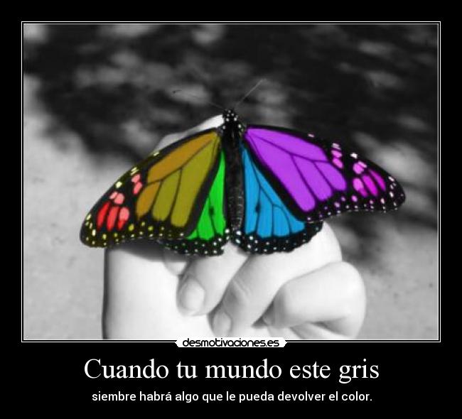 Cuando tu mundo este gris - siembre habrá algo que le pueda devolver el color.