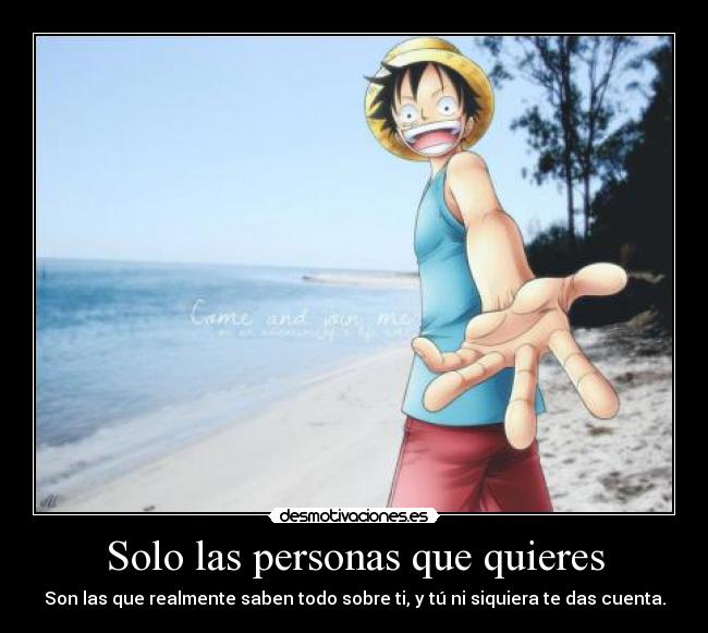 carteles solo personas querer relamente saben todo sobre dar cuenta one piece luffy desmotivaciones