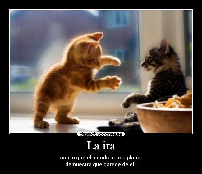 La ira - con la que el mundo busca placer
demuestra que carece de él...