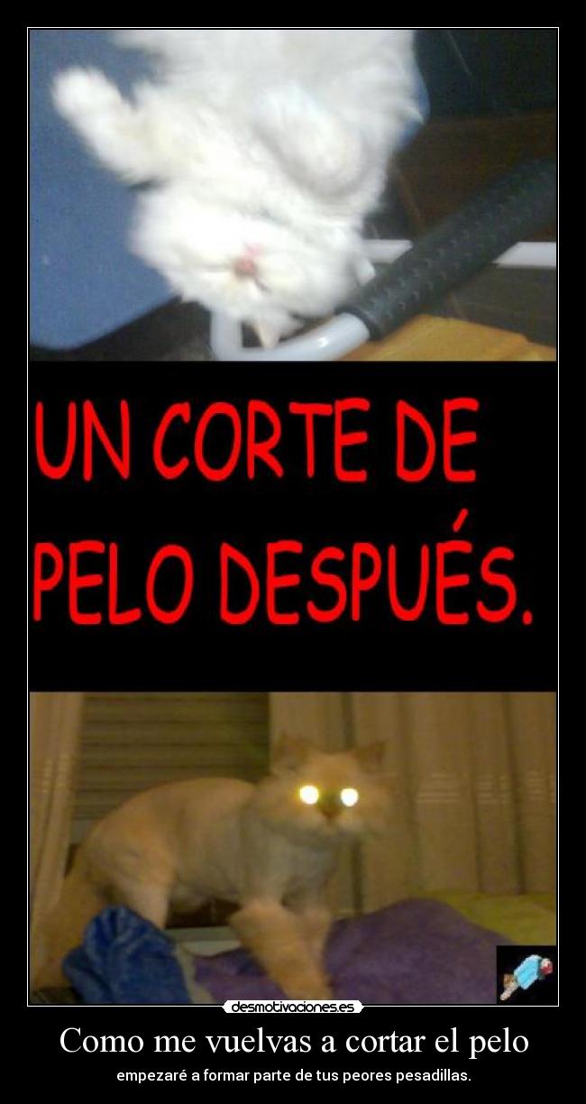 Como me vuelvas a cortar el pelo - empezaré a formar parte de tus peores pesadillas.