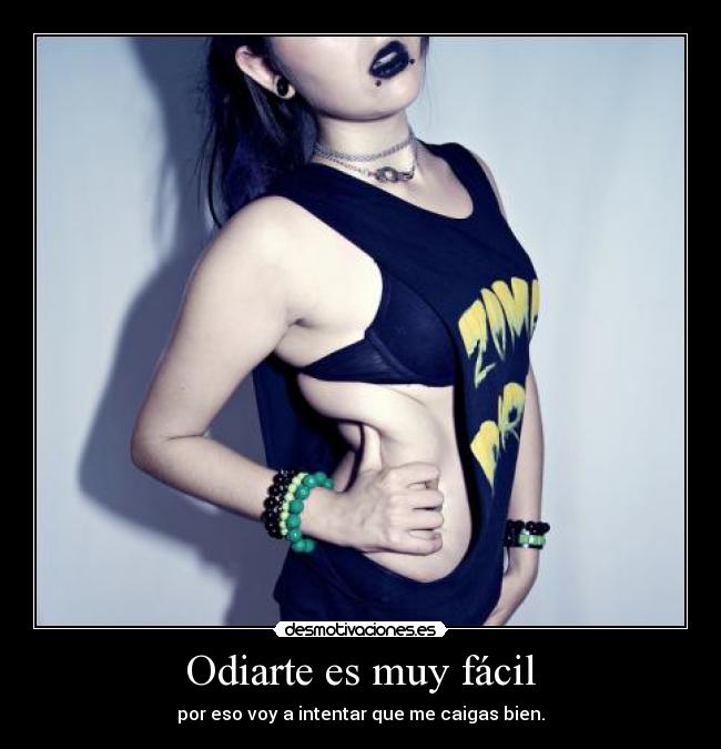 carteles xheartneverliesx odiarte muy facil por eso voy intentar que caigas bien desmotivaciones