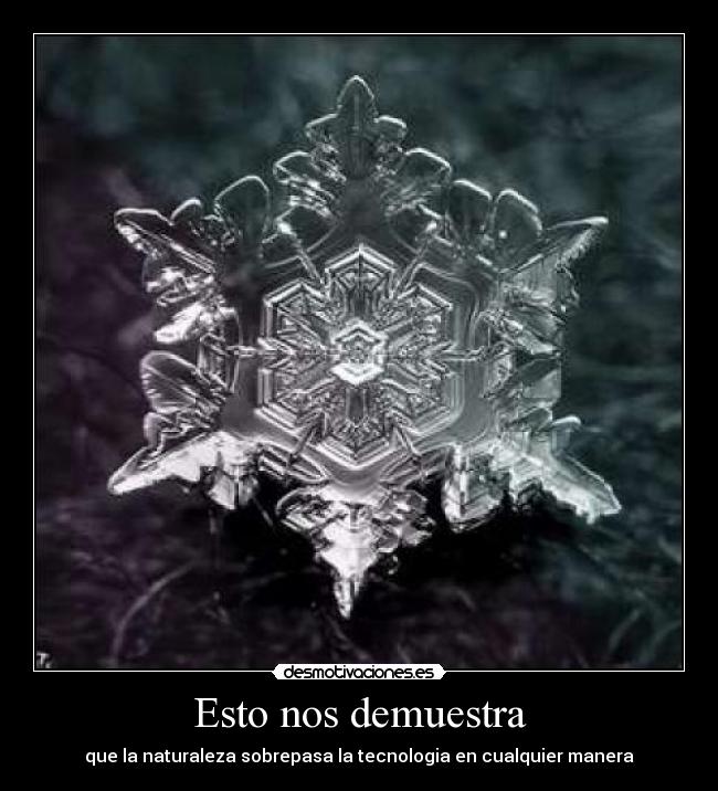 Esto nos demuestra - que la naturaleza sobrepasa la tecnologia en cualquier manera
