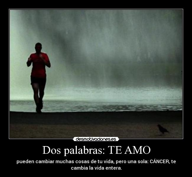 Dos palabras: TE AMO - pueden cambiar muchas cosas de tu vida, pero una sola: CÁNCER, te
cambia la vida entera.