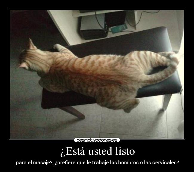 ¿Está usted listo -