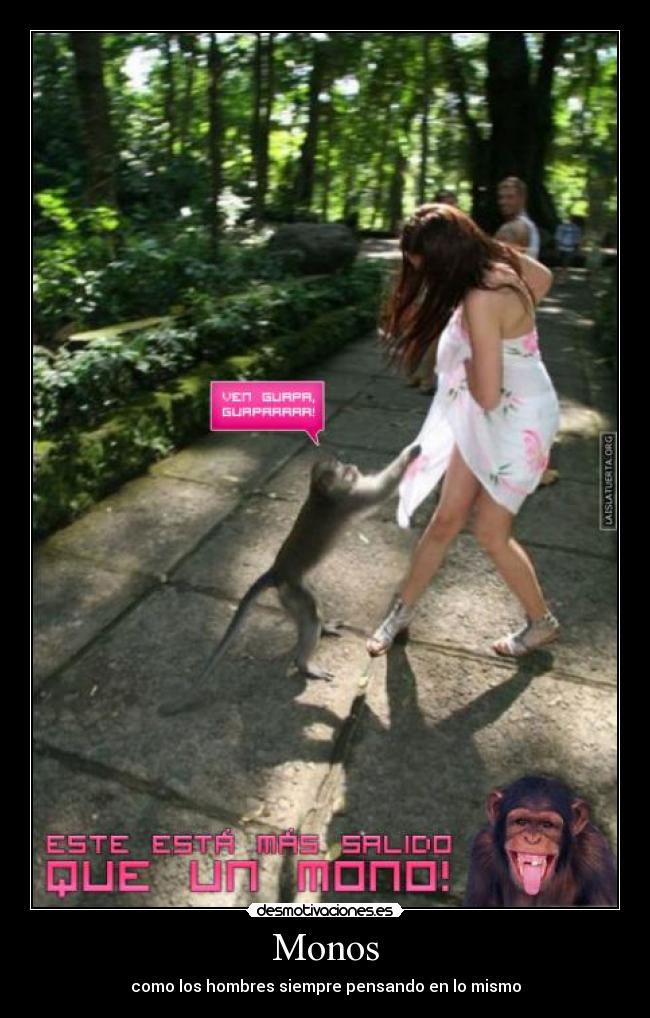 Monos -