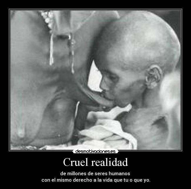 carteles cruel realidad desmotivaciones