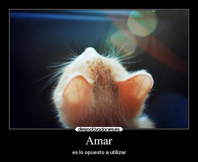 Amar - es lo opuesto a utilizar