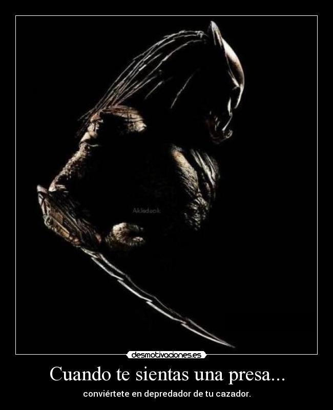 Cuando te sientas una presa... -