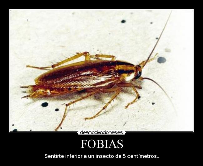 FOBIAS -