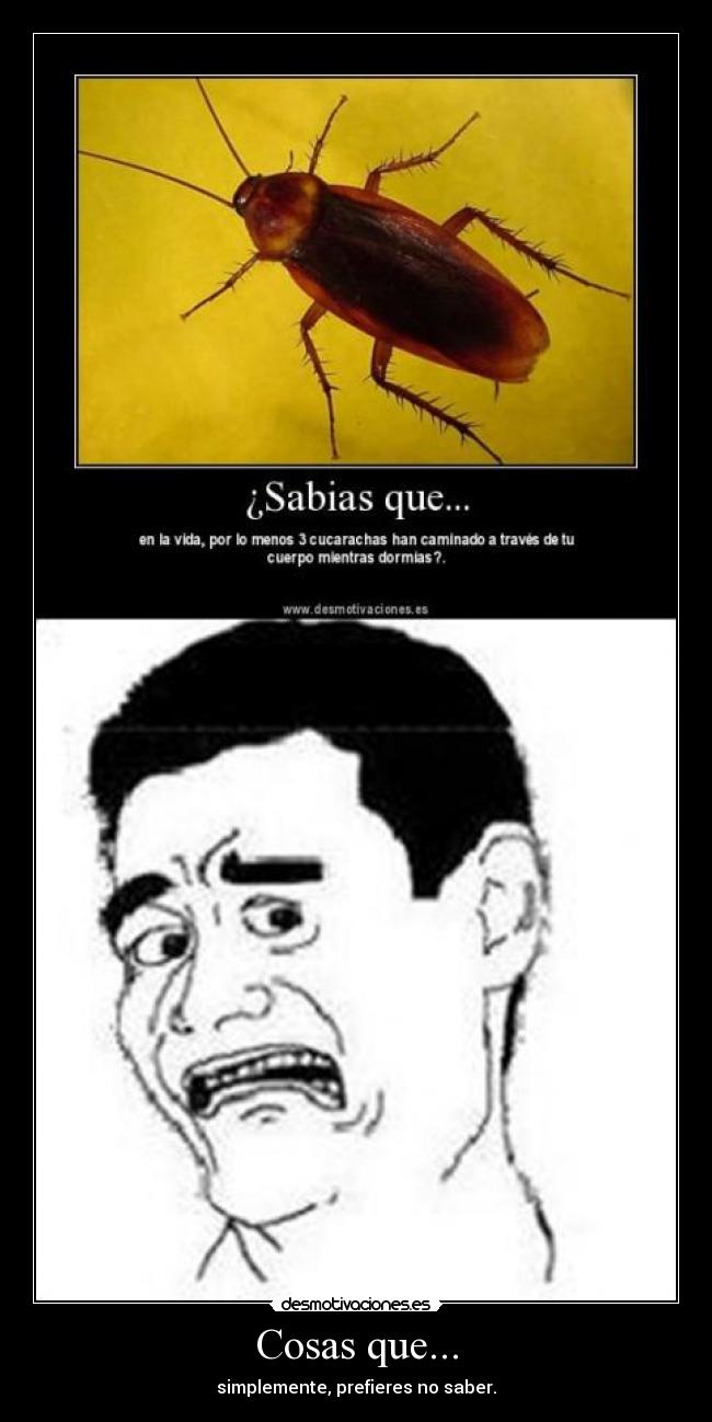 carteles cucarachas yao ming asqueado desmotivaciones