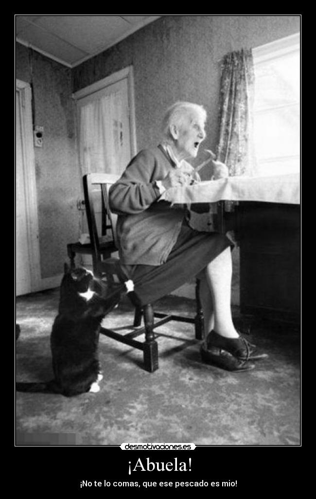 carteles abuelas gatos elclanviral d17pac desmotivaciones