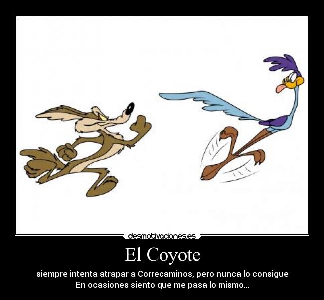 El Coyote - 