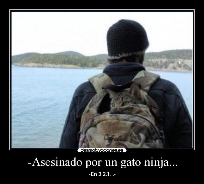 carteles maeckos10 desmotivaciones