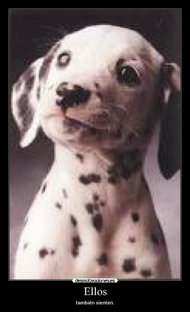 Ellos -