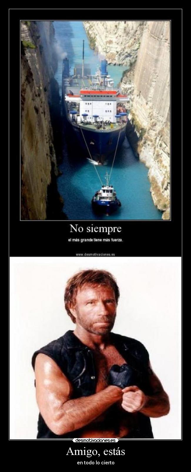 carteles chuck norris peo feo pato chuck pambulo desmotivaciones