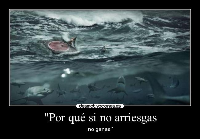 Por qué si no arriesgas - no ganas
