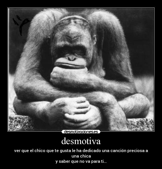 desmotiva - 