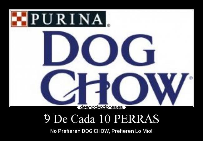 carteles dog chow perras novios desmotivaciones