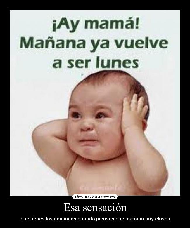 carteles iuy desmotivaciones