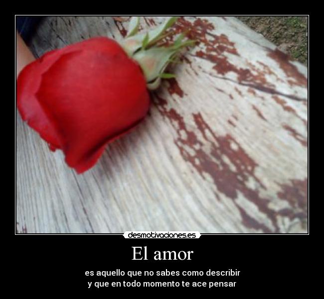 El amor -