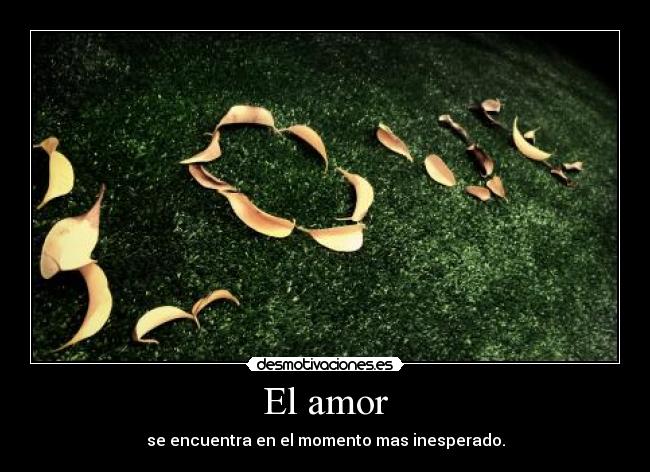 El amor - 