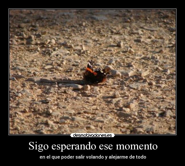 Sigo esperando ese momento - en el que poder salir volando y alejarme de todo