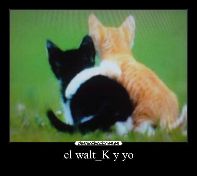 el walt_K y yo -
